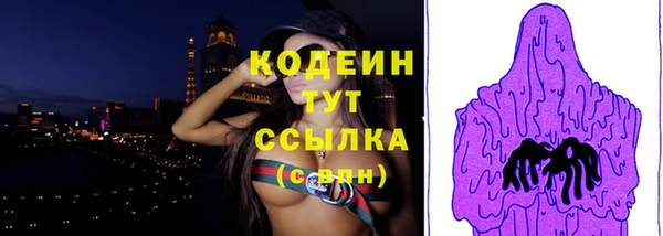 мдпв Иннополис