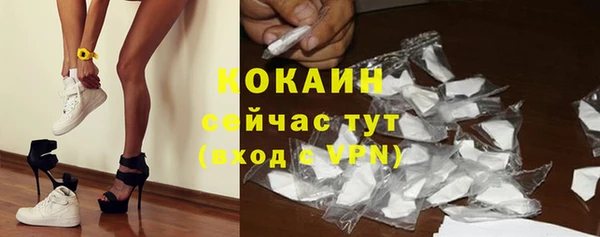 хмурый Каменногорск