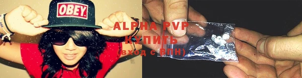 хмурый Каменногорск