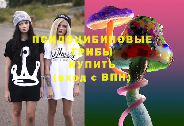 соль ск Каменск-Шахтинский