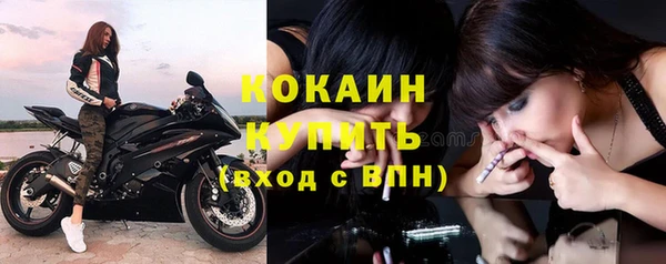 хмурый Каменногорск