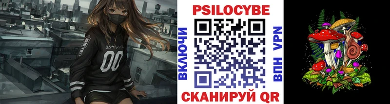 Галлюциногенные грибы GOLDEN TEACHER  Купить где  Славск 